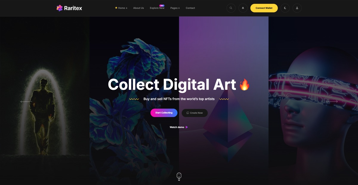 Raritex NFT marketplace website